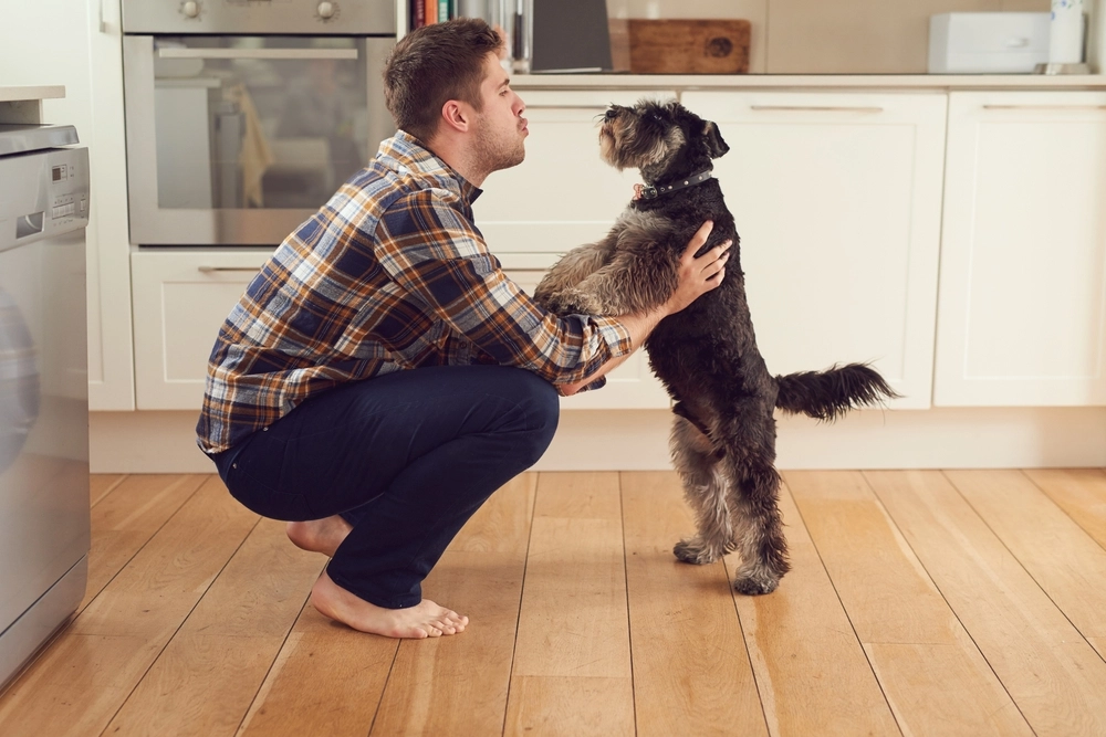 Mange hundeejere overser farlig sommerfælde: Søg dyrlæge hvis din hund får disse symptomer