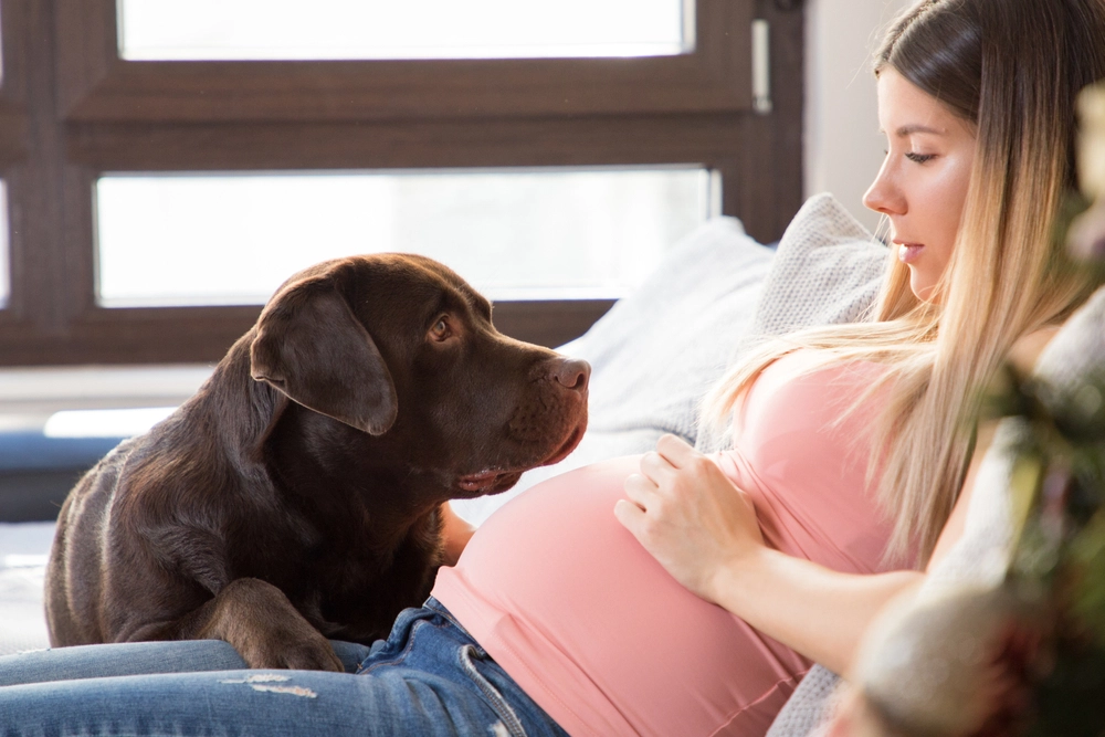 Gravid och jobbsökande? Du har fler rättigheter än du tror – detta vet vi
