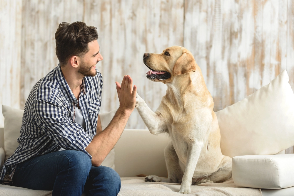 Mand hund highfive / man dog high five