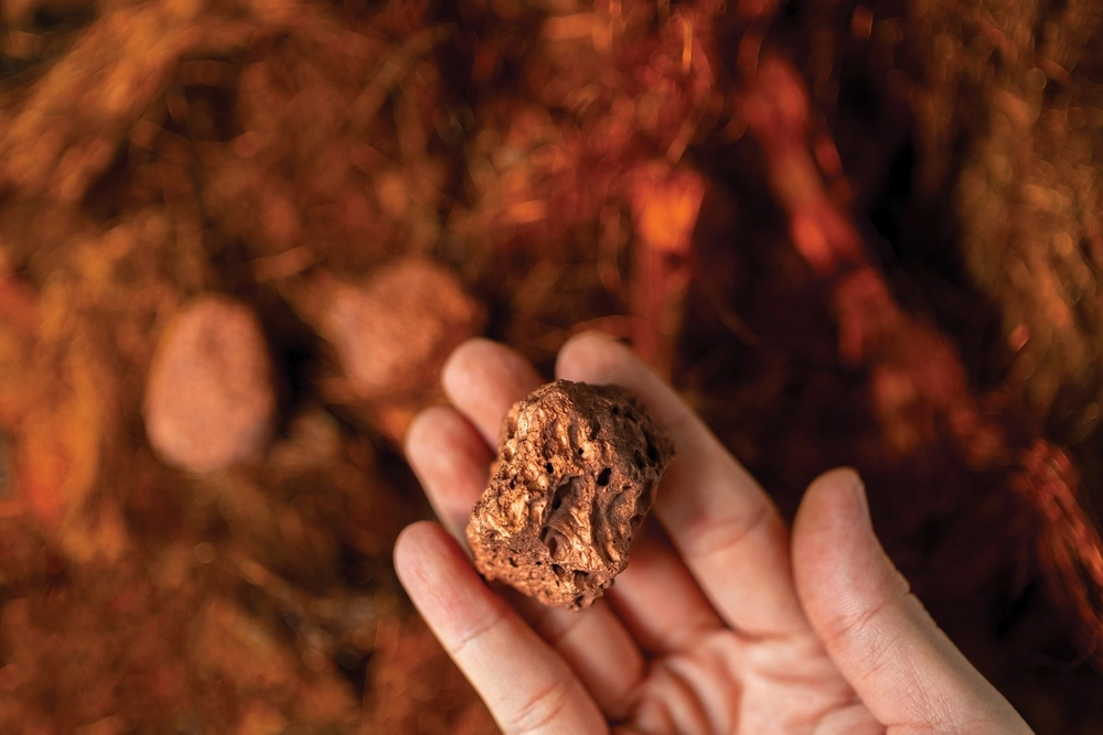 Mand med kobberstykke / Man holding copper