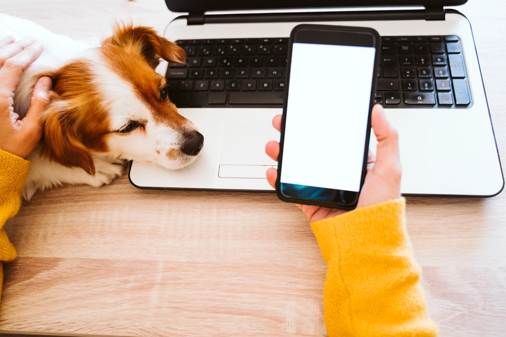 Working from home with dog / arbejde hjemmefra med hund