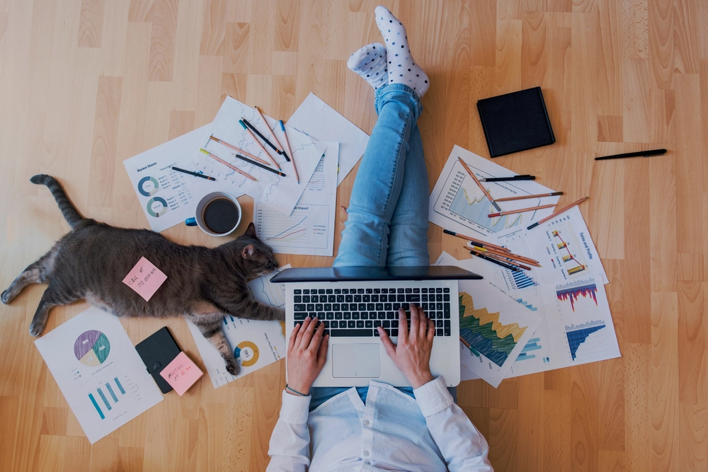 Creative working from home cat / arbejde hjemmefra kat