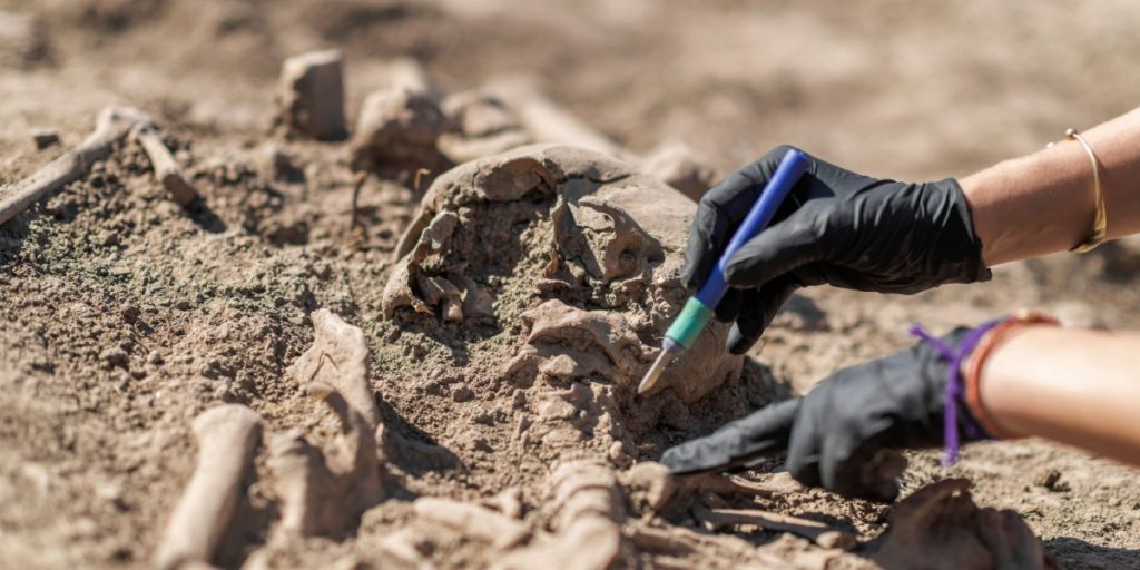 archaeology skeleton