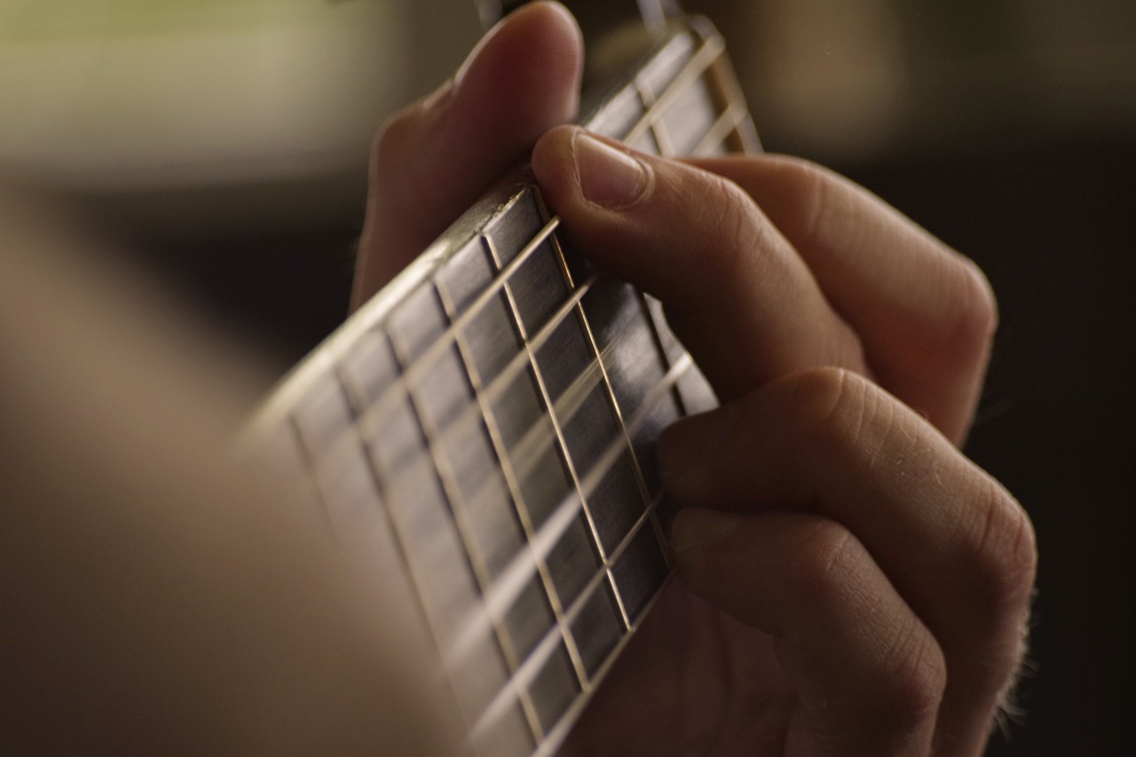 Guitar/Instrument