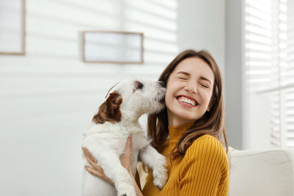 Woman,Jack,Russell,Terrier, kvinde, hund, dog