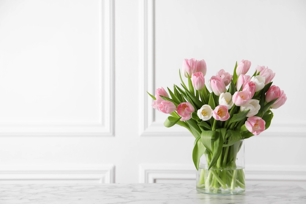 Bouquet,Tulips,buket,tulipaner