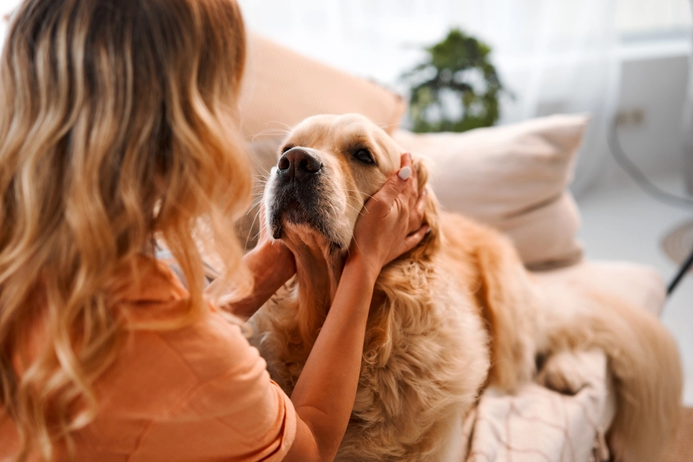 Female,Dog,kvinde,hund