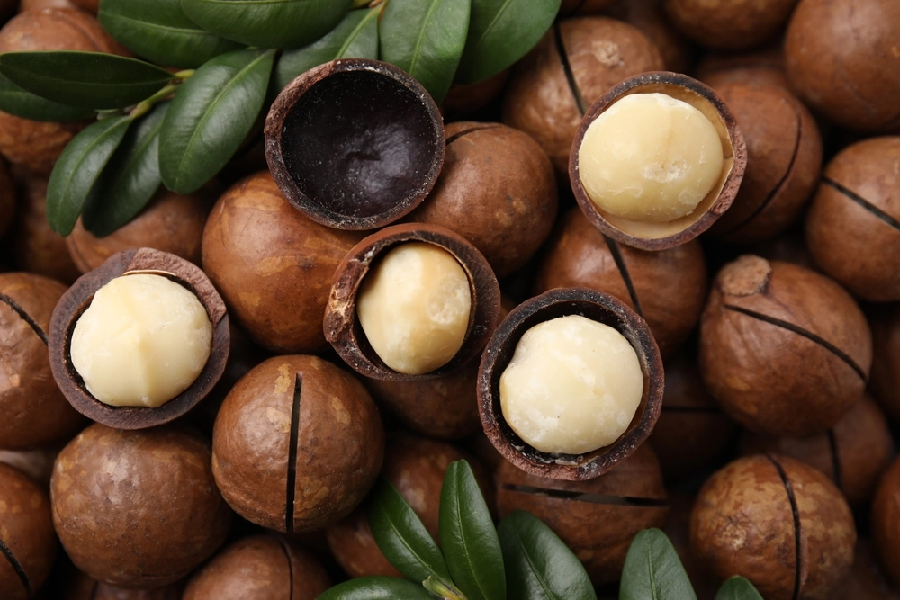 Macadamia,Nuts,nødder