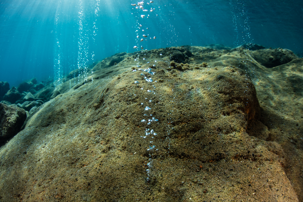 Terrifying Discovery: Underwater Volcano Found Filled with Thousands of Giant Living Eggs
