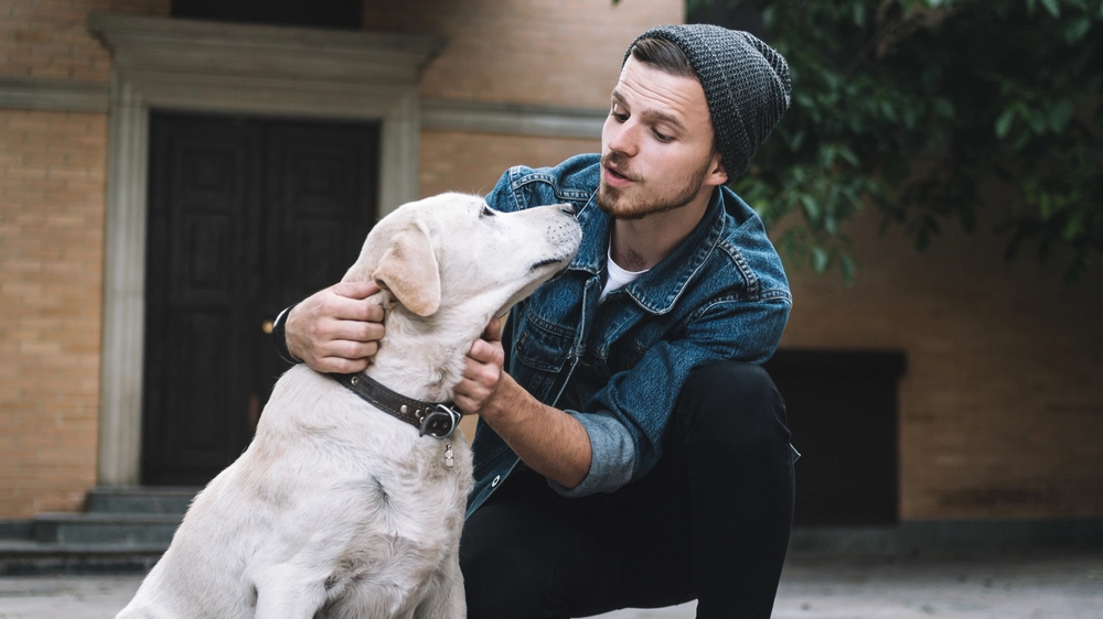Dog / Hund / man / mand
