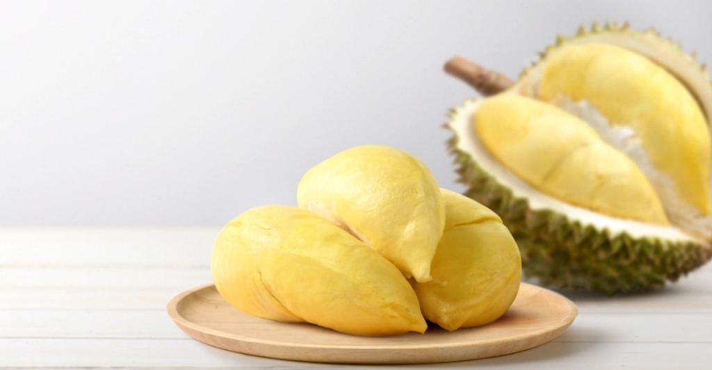 durian,frugt,fruit