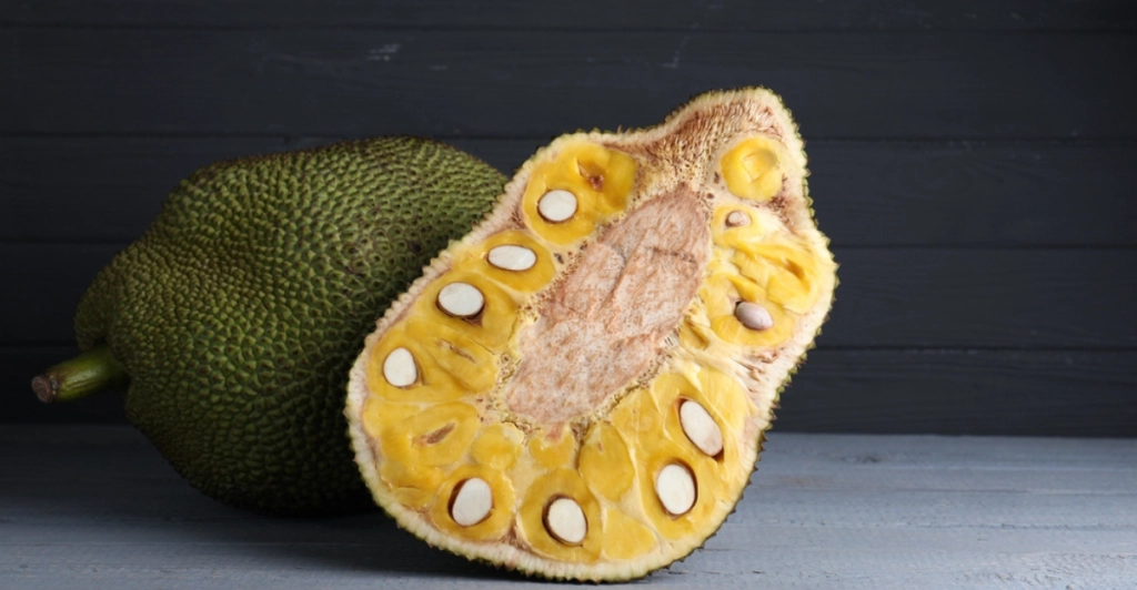 jackfruit,frugt