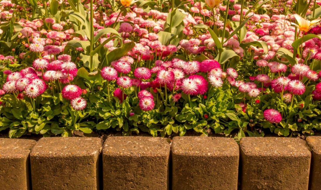 How to Build Raised Garden Beds from Wood and Other Materials