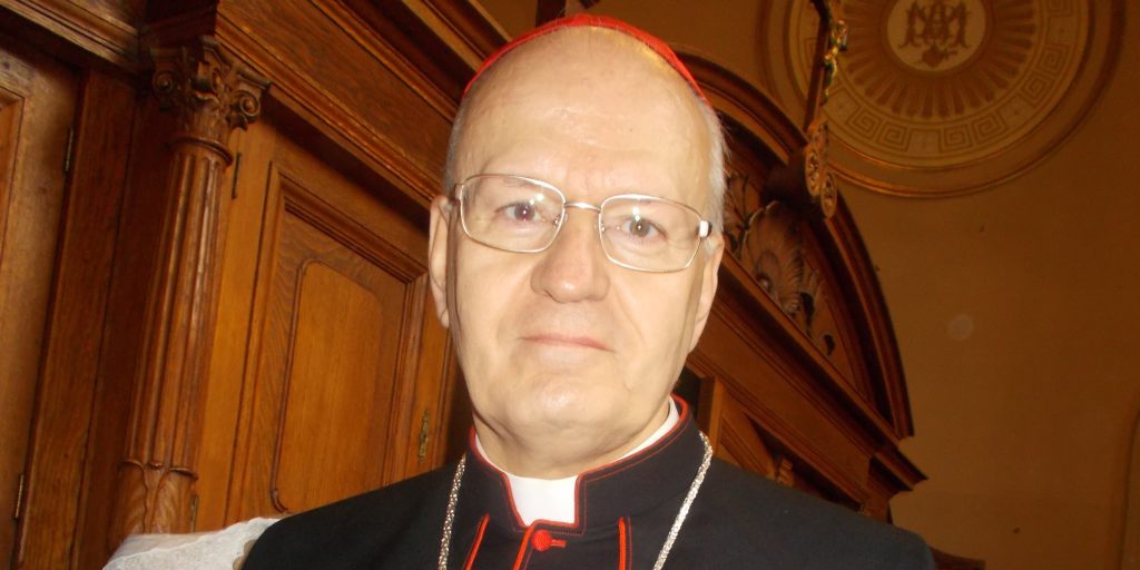 Cardinal Peter Erdo, conclave