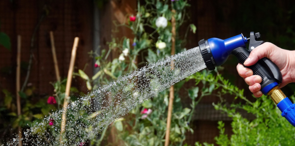 Garden Experts: This Is the Best Time of Day to Water Your Plants
