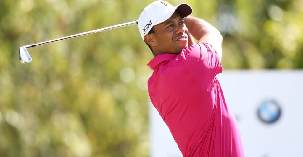 Tiger woods