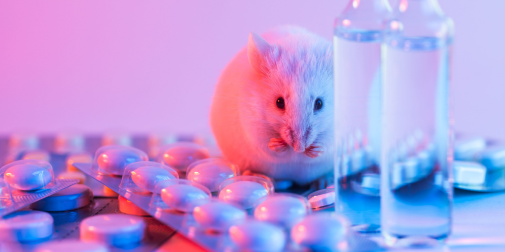 Mouse, research