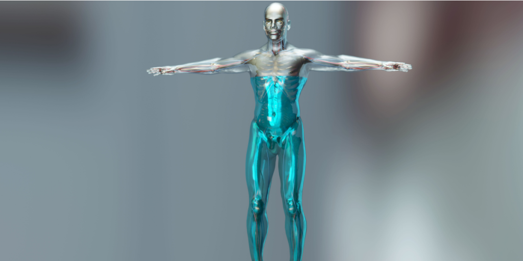 Body, water, percentage