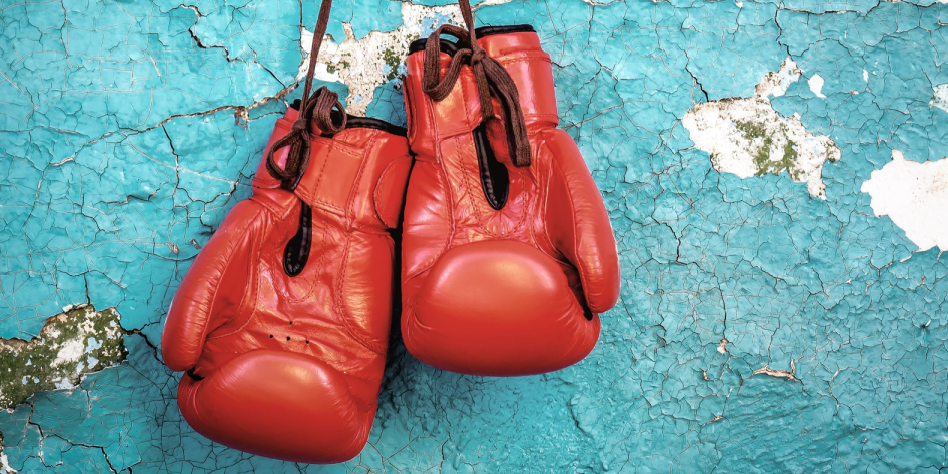 Boxing gloves