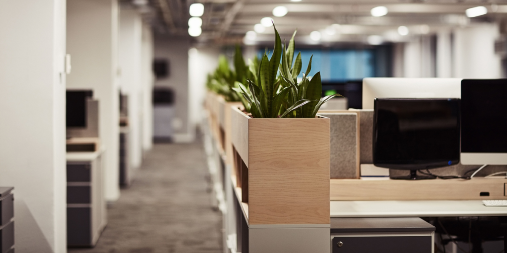 Office, open, landscape, cubicles