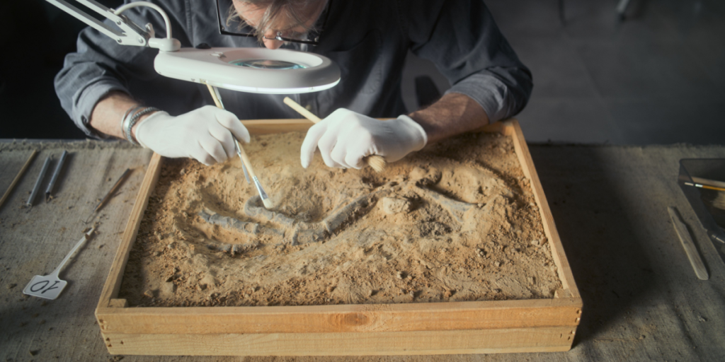 Archeologist, paleontologist