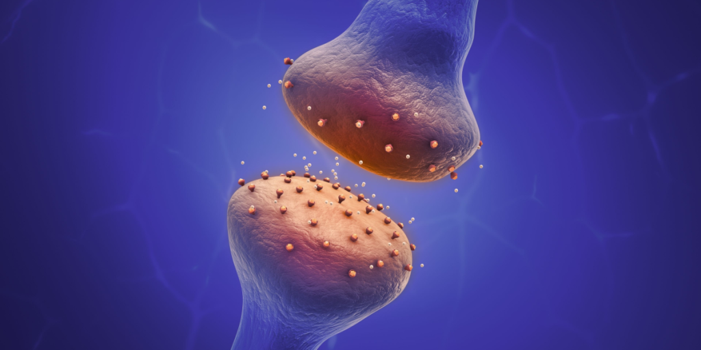 Opioid, pain receptor