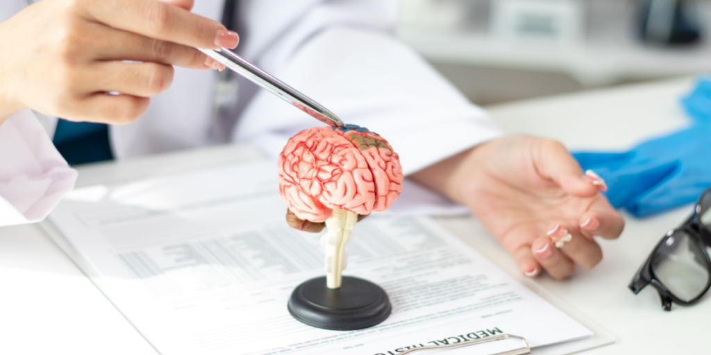 Brain