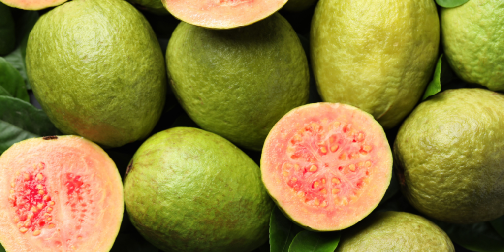 Guava