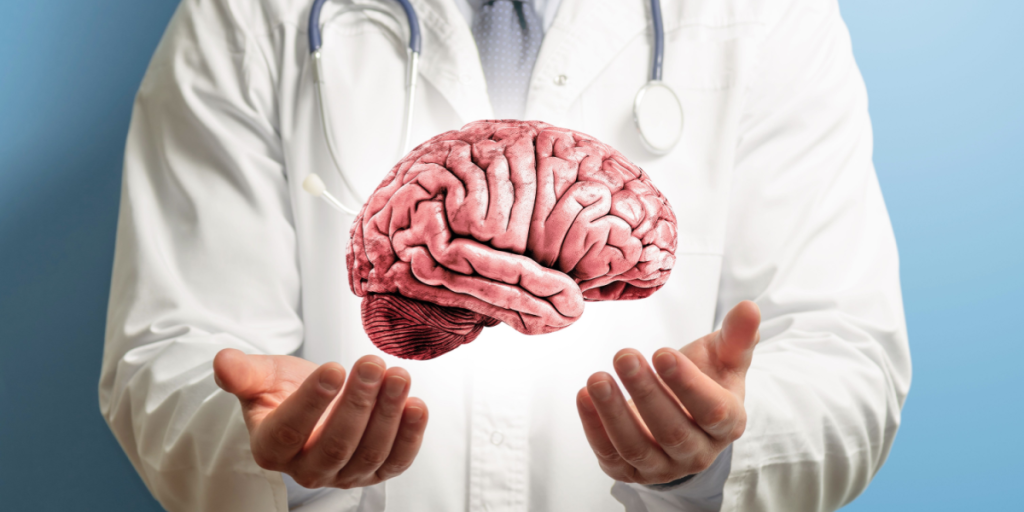 Brain