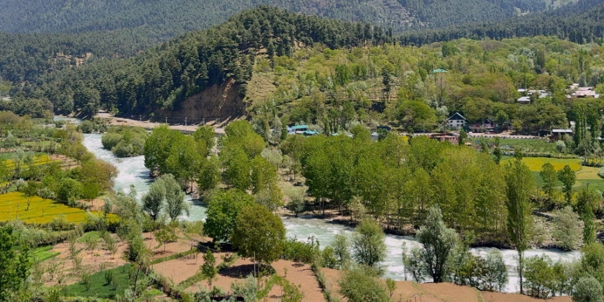 Pahagalm