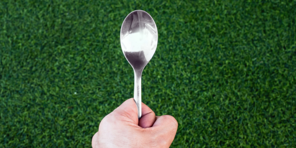 Spoon, ske