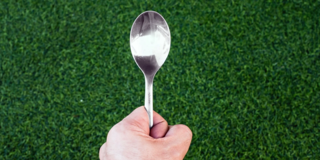 Spoon, ske