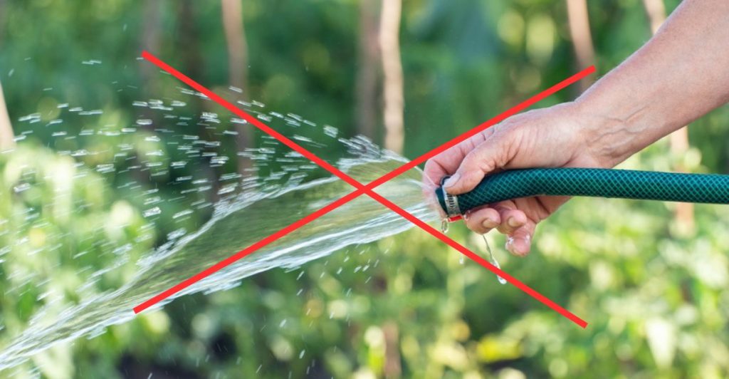 10 Things to Stop Doing for a Greener, More Sustainable Garden