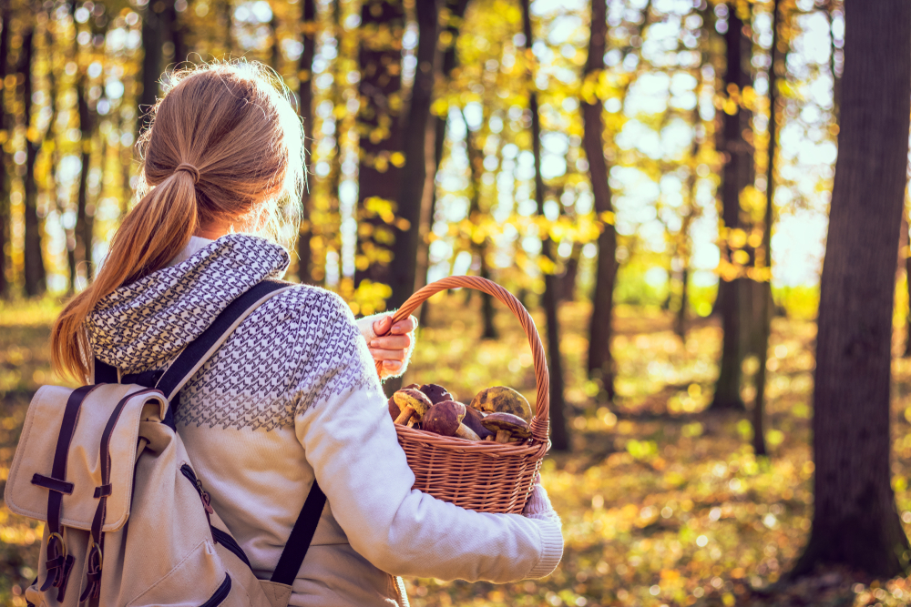 Woman,Mushrooms,Basket,nature,kvinde,kurv,svampe,natur