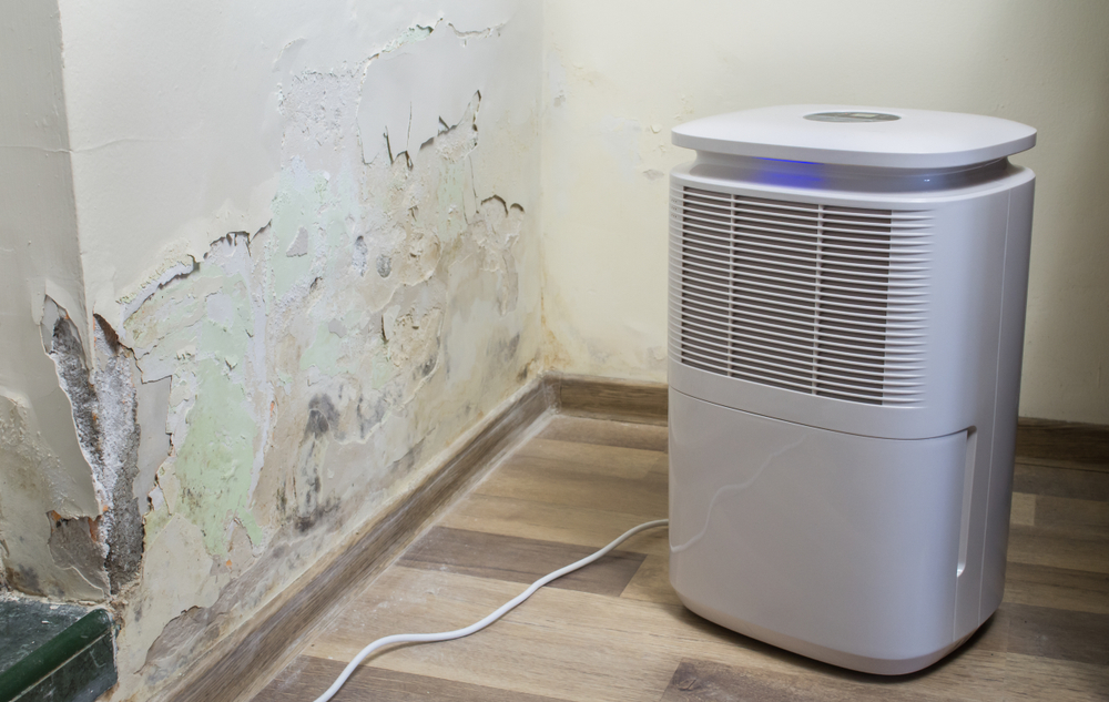 One Simple Morning Habit to Keep Mold at Bay