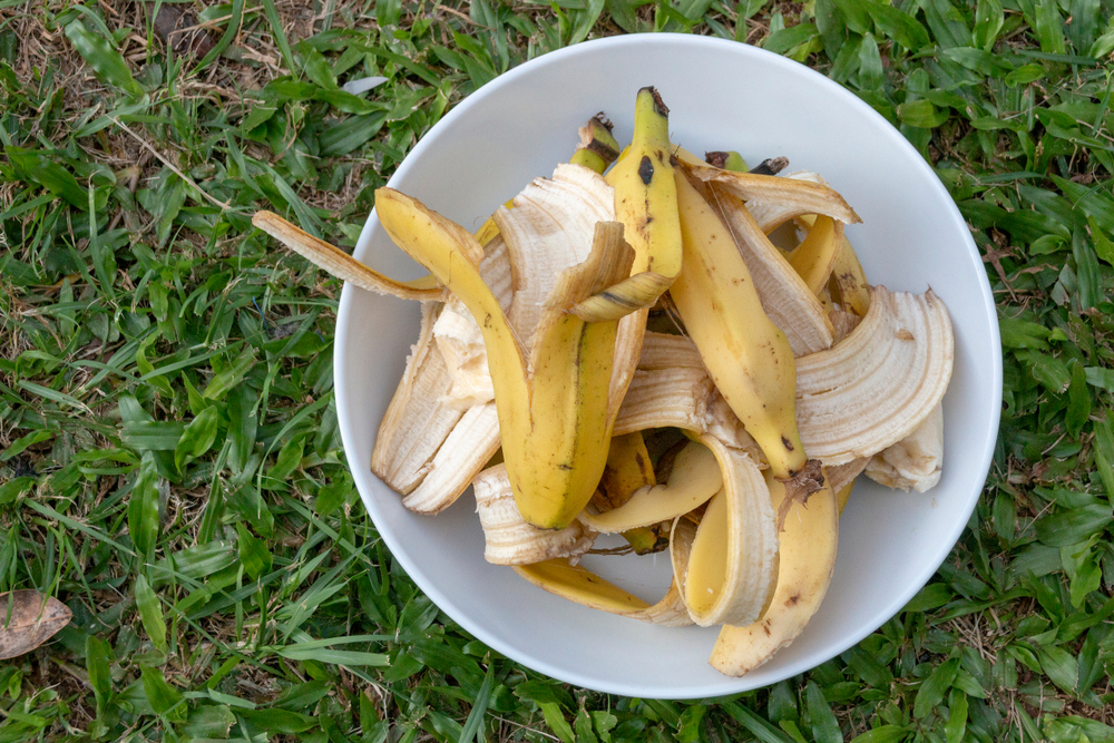 banapeel, bananskræl