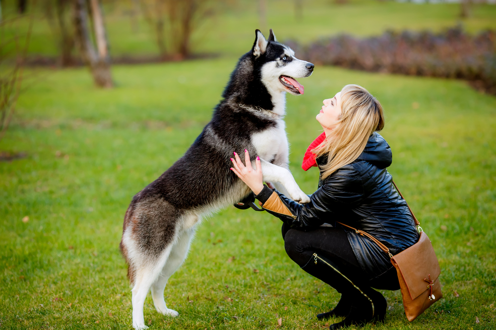 Friendship,Between,Human,venskab,hund,menneske