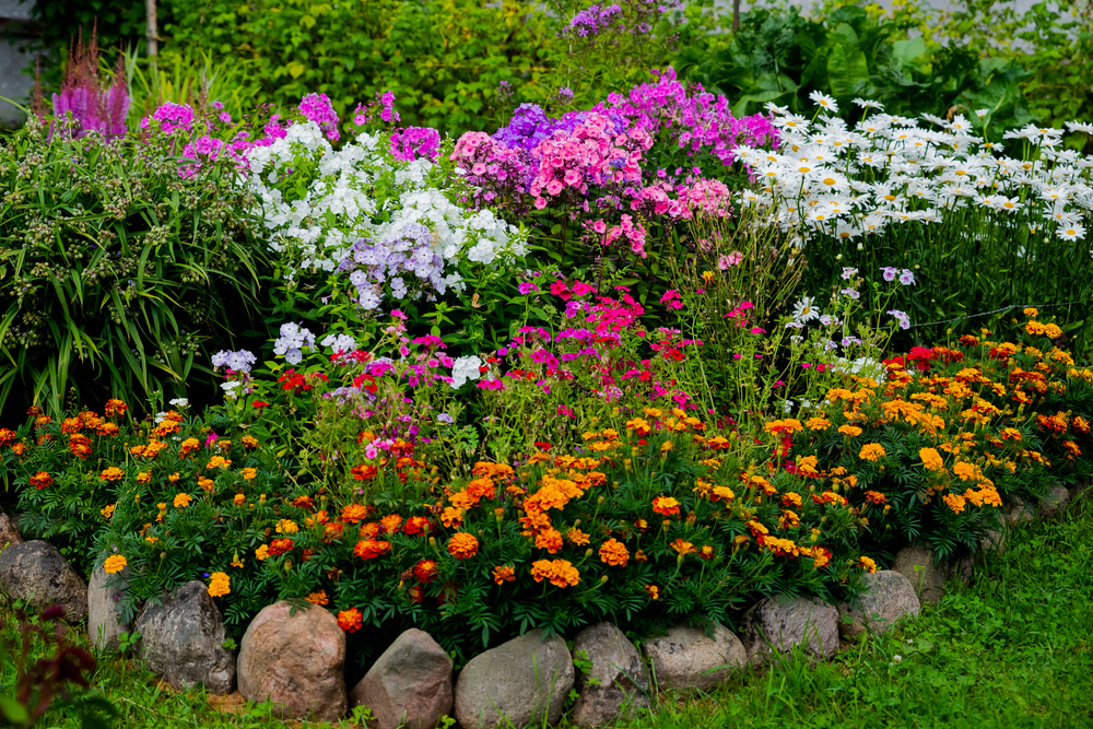 Flower, blomster, Blumen