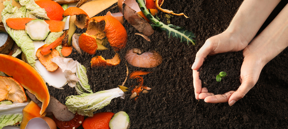 Organic,Composting,organisk,kompost