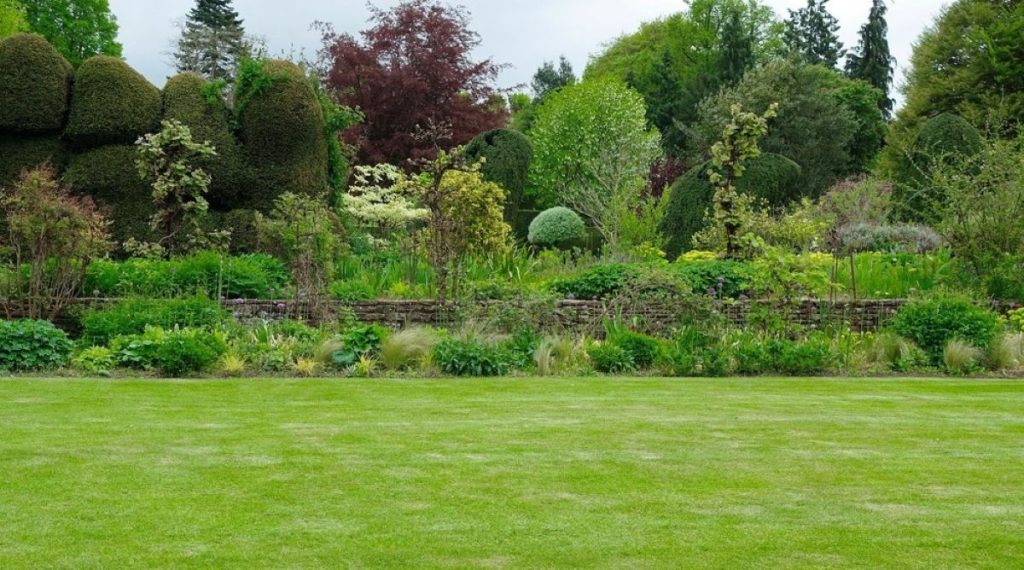 “Nobody Warned Me”: American Expat Baffled by Britain’s Green Obsession