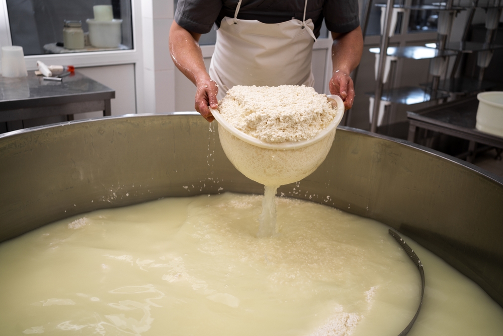Cheese,Maker,whey,oste valle, produkion