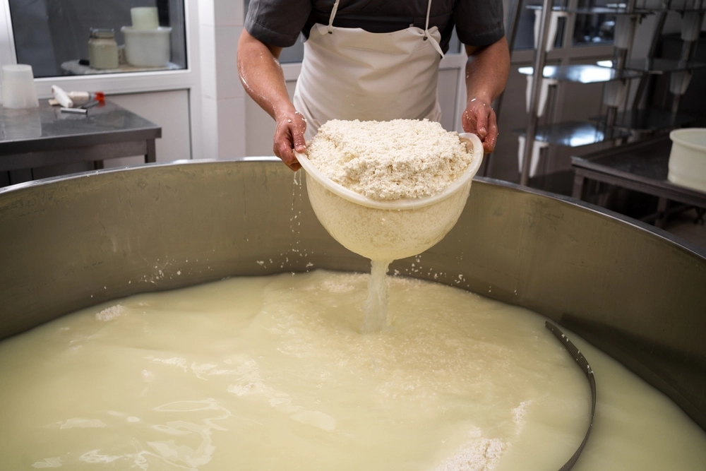 Cheese,Maker,whey,oste valle, produkion