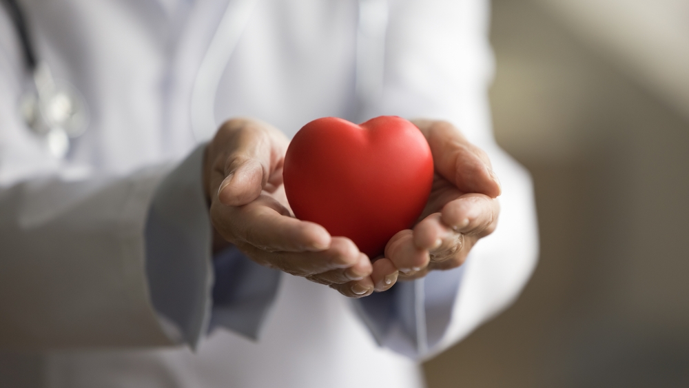 Doctor,holding,Heart,læge,holder,hjerte