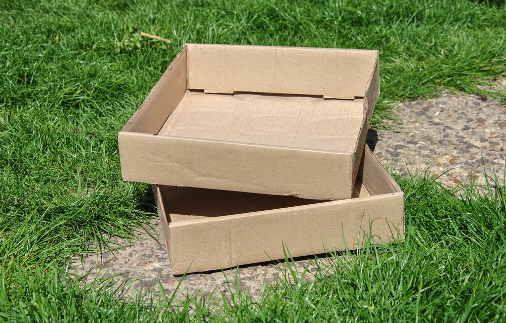 Cardboard boxes, papæske