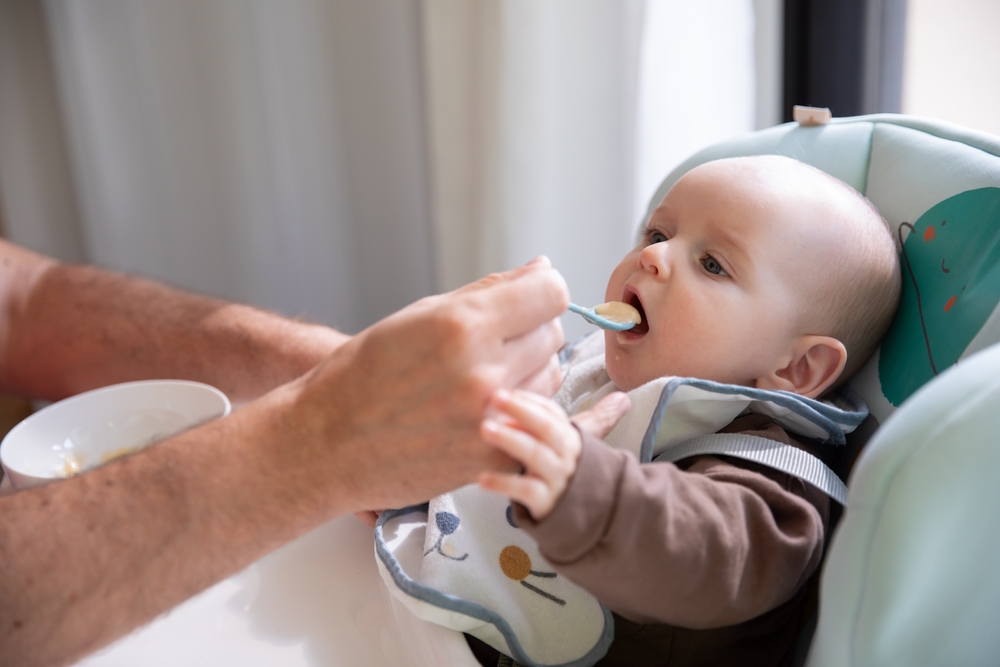 Baby,Fed,In,A,High,Chair,spiser