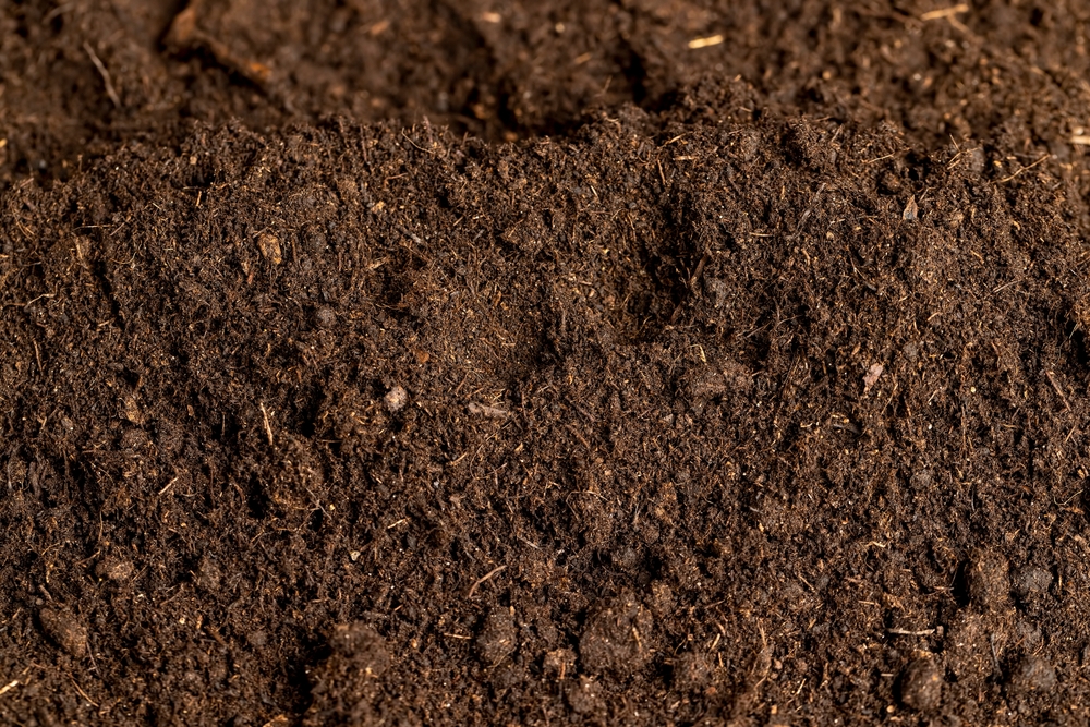 Soil,sod,jord,dirt