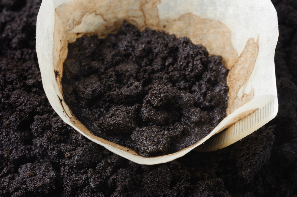 Coffee,Filters,Ground,kaffefilter,grums