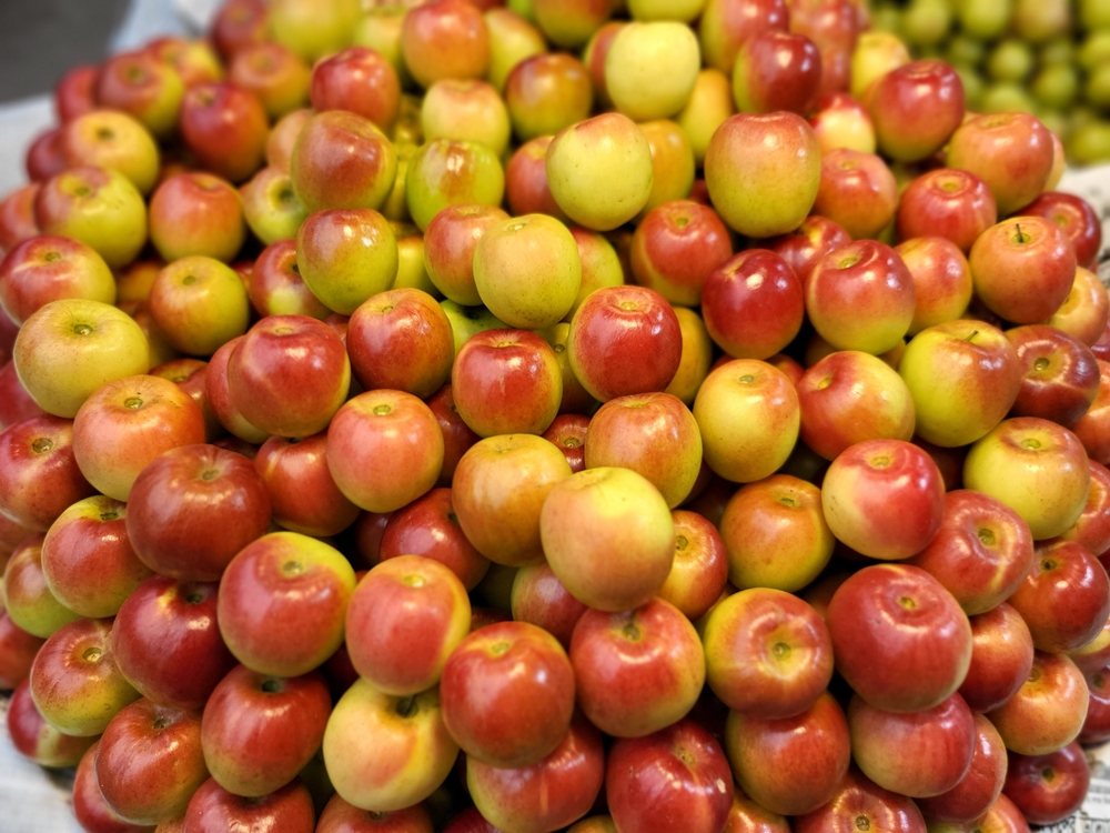 Jujube,Fruits,frugt