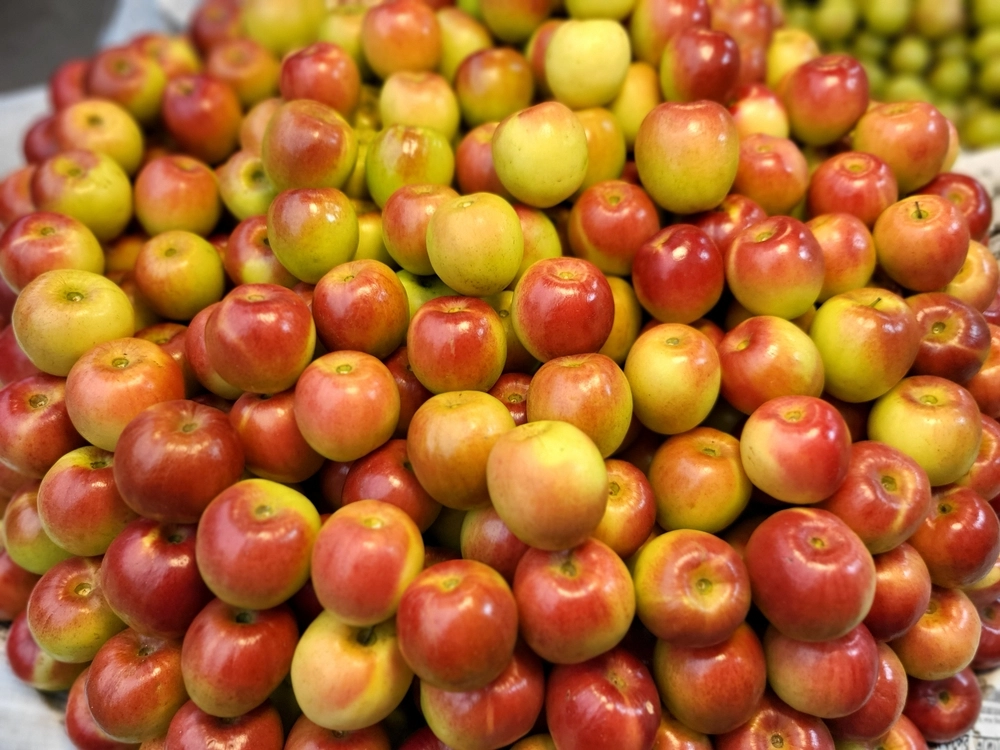 Jujube,Fruits,frugt