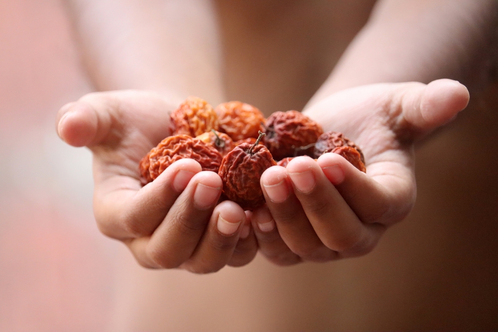 Dry,Jujube,Fruit,In,Hands,frugt,hænder